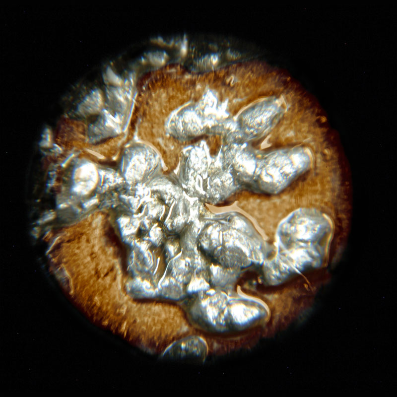 Magnified view of steel particles captured and held by FilterMag.